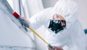 Best Pest Control for Hotels  in Walhalla, SC